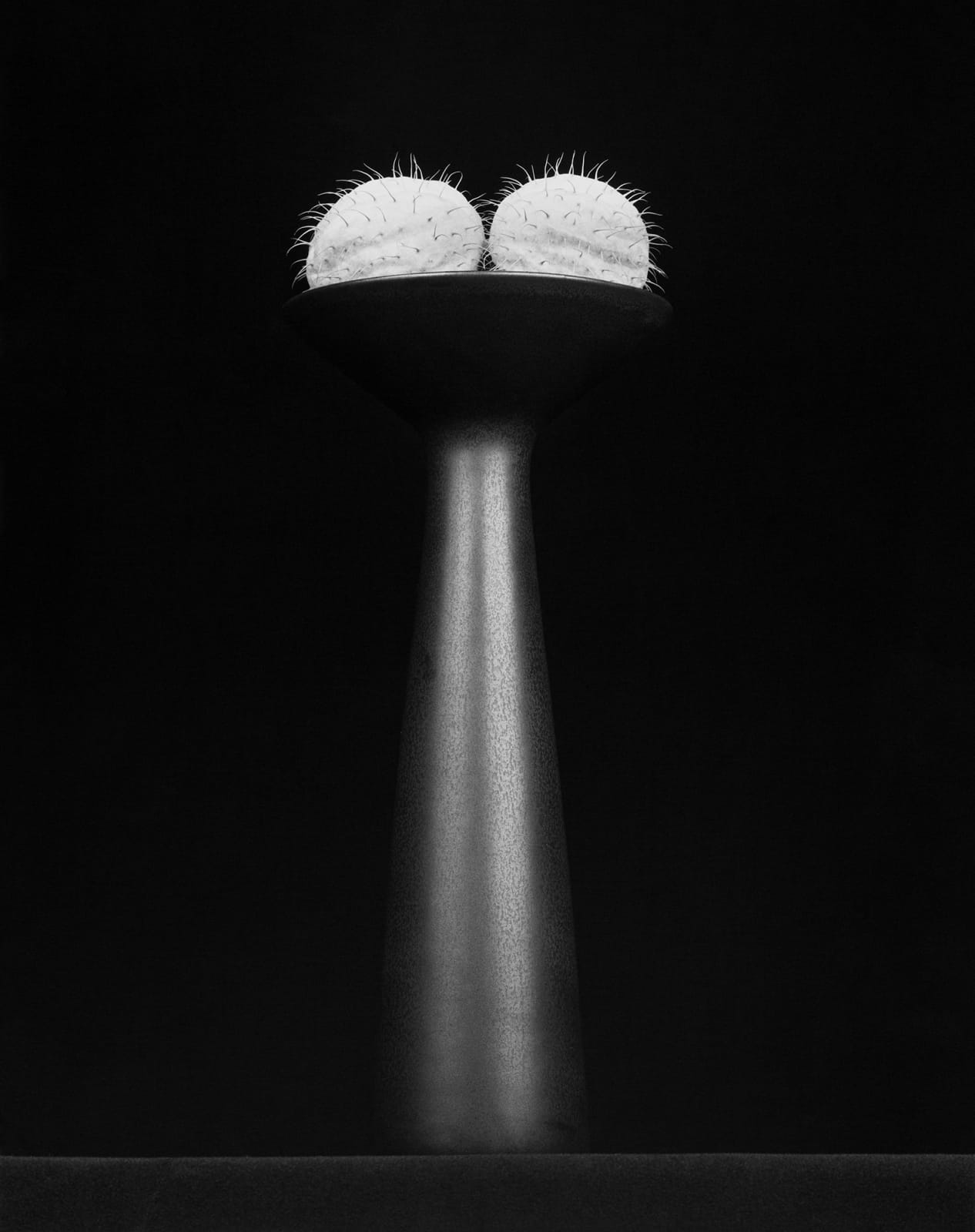 Robert Mapplethorpe, Flower, 1983