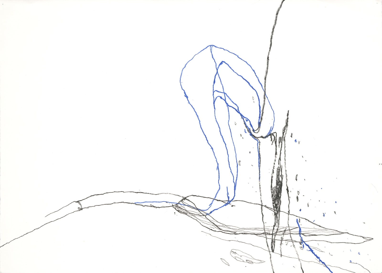 Paco Knöller_The thinking reed