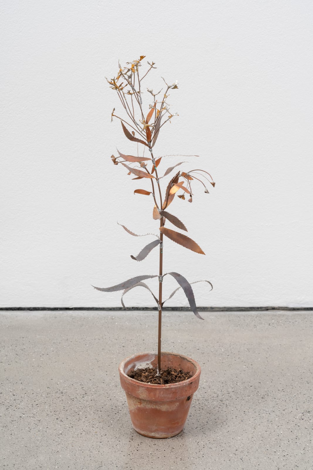 José Montealegre, página 0160, 2021