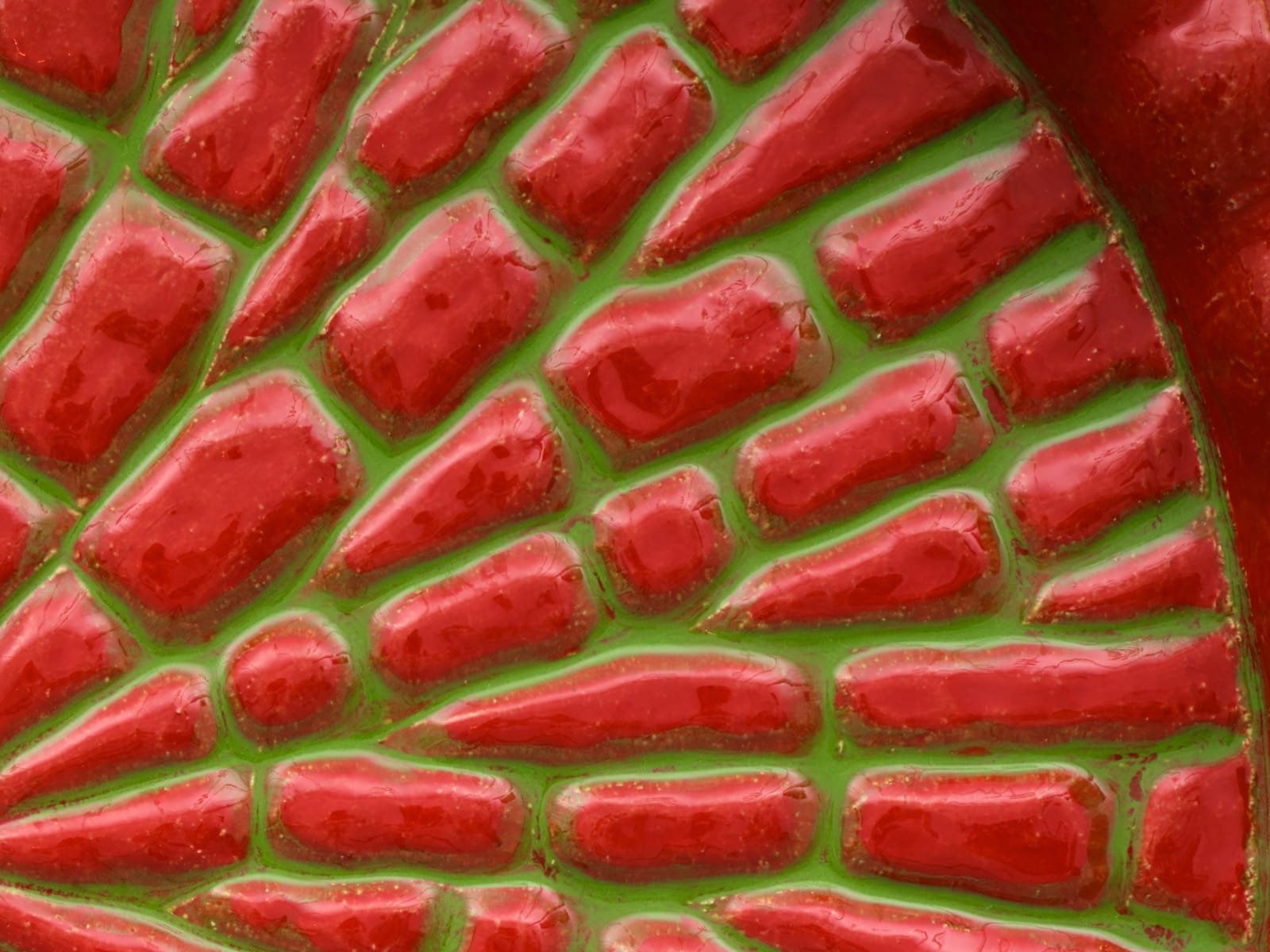 Lena Henke, Biodiversity, 2022