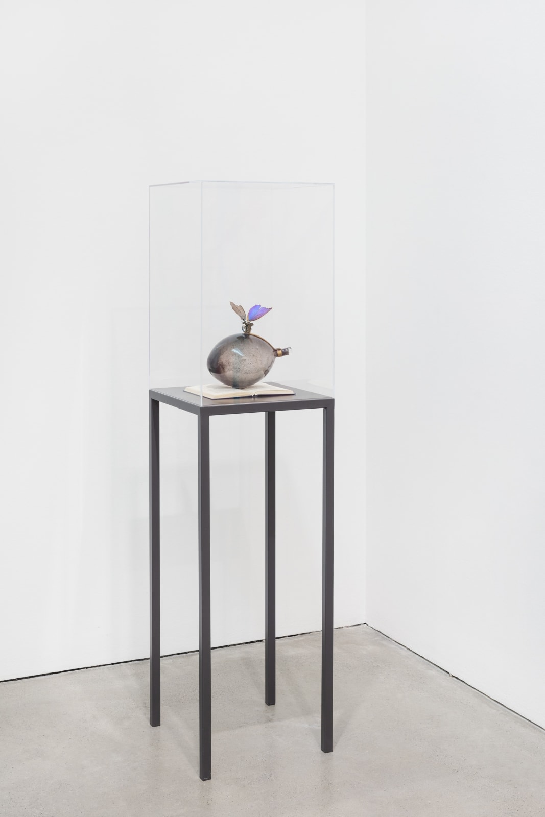 stefanhaehnel_GTS_rebeccahorn-hr-1