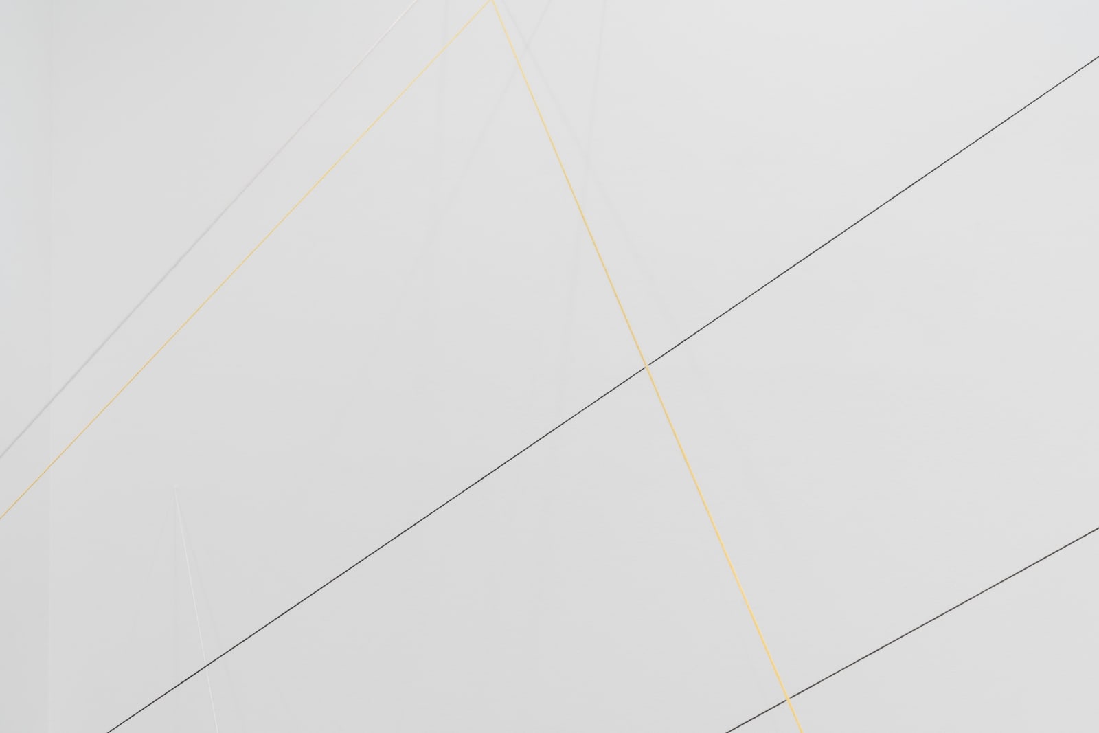 15_Fred Sandback_Stefan Haehnel_Galerie Thomas Schulte