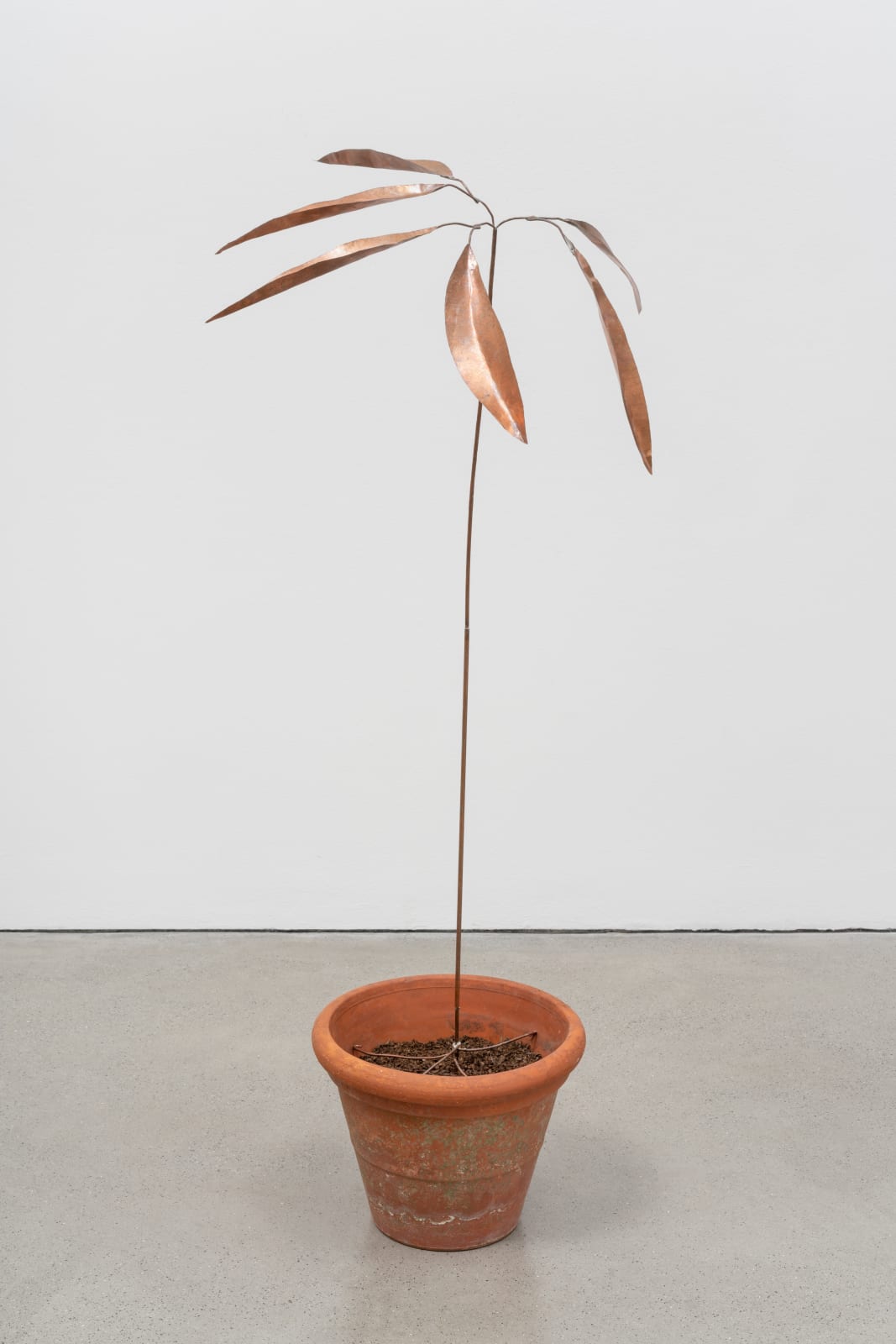 José Montealegre, página 0377, figura 3, 2023