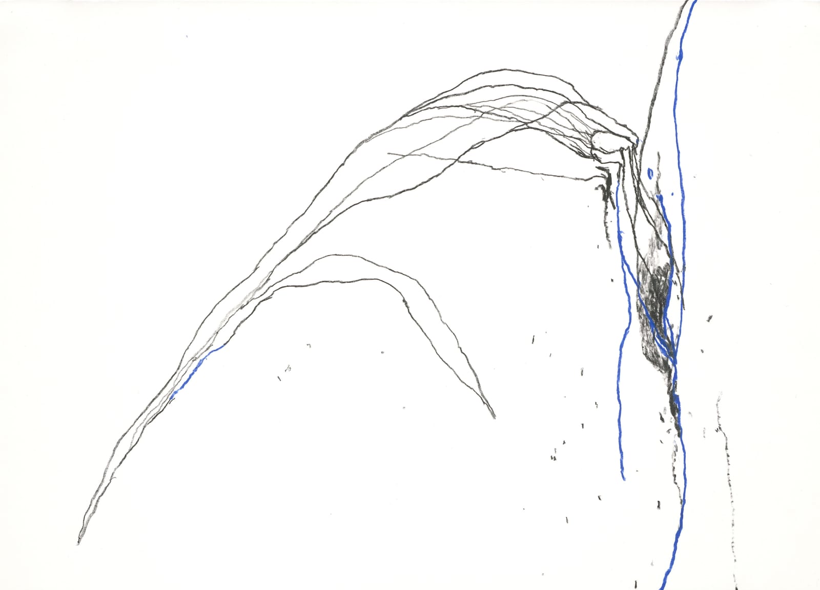 Paco Knöller_The thinking reed