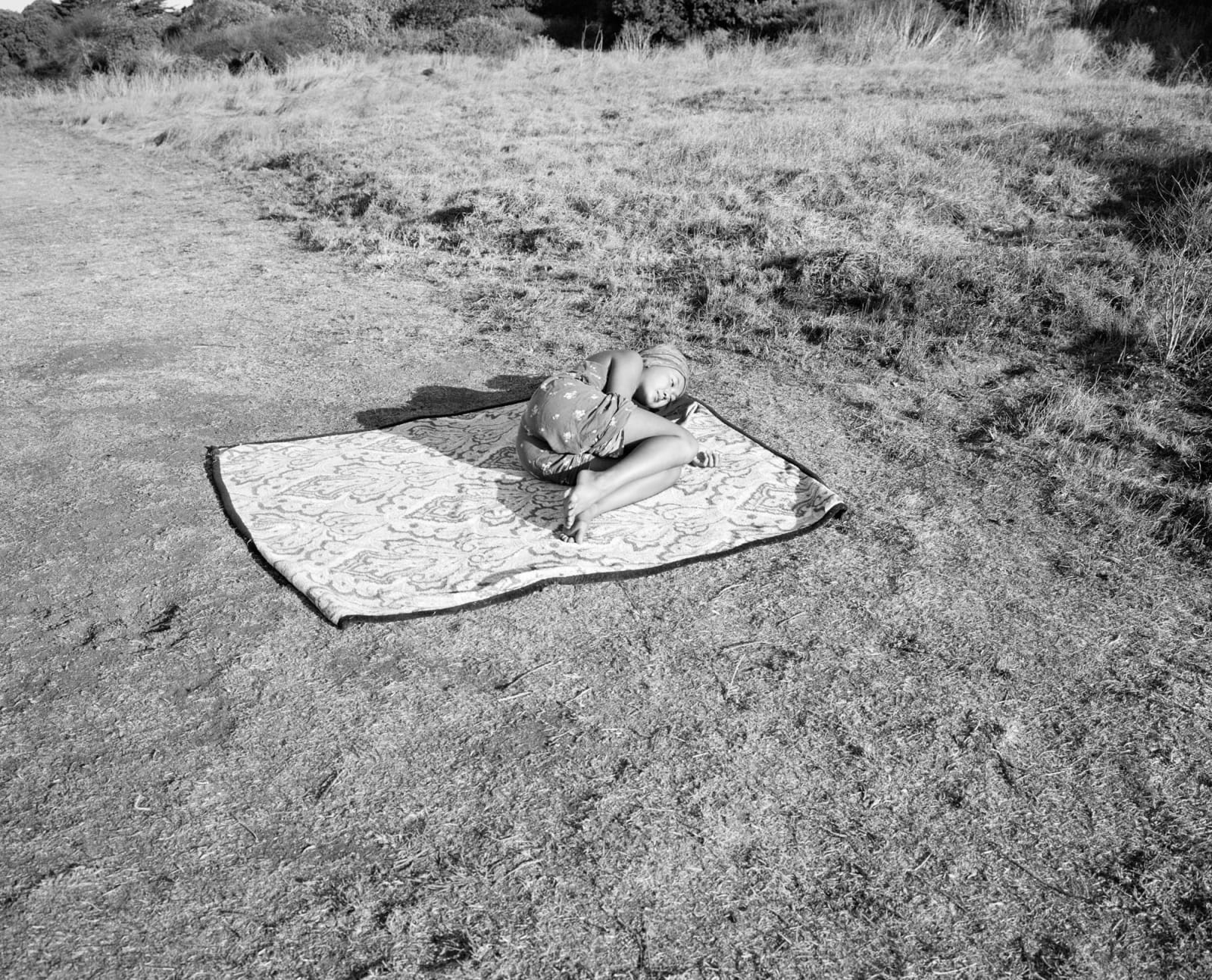 Mimi Plumb, Morning view of San Francisco