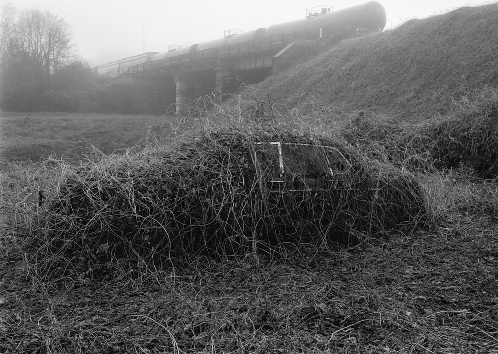 Mark Steinmetz, Southeast-11