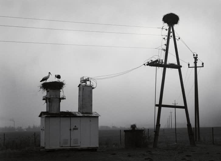 Pentti Sammallahti, Vörumma, Estonia, 2004