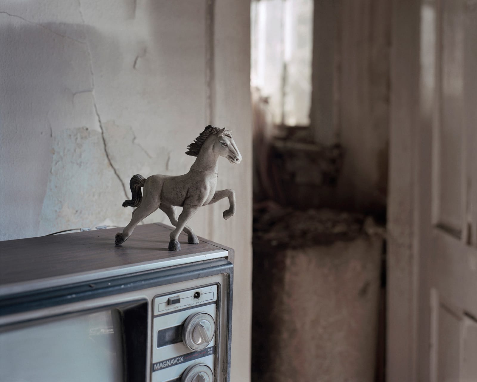 Bryan Schutmaat, Toy Horse