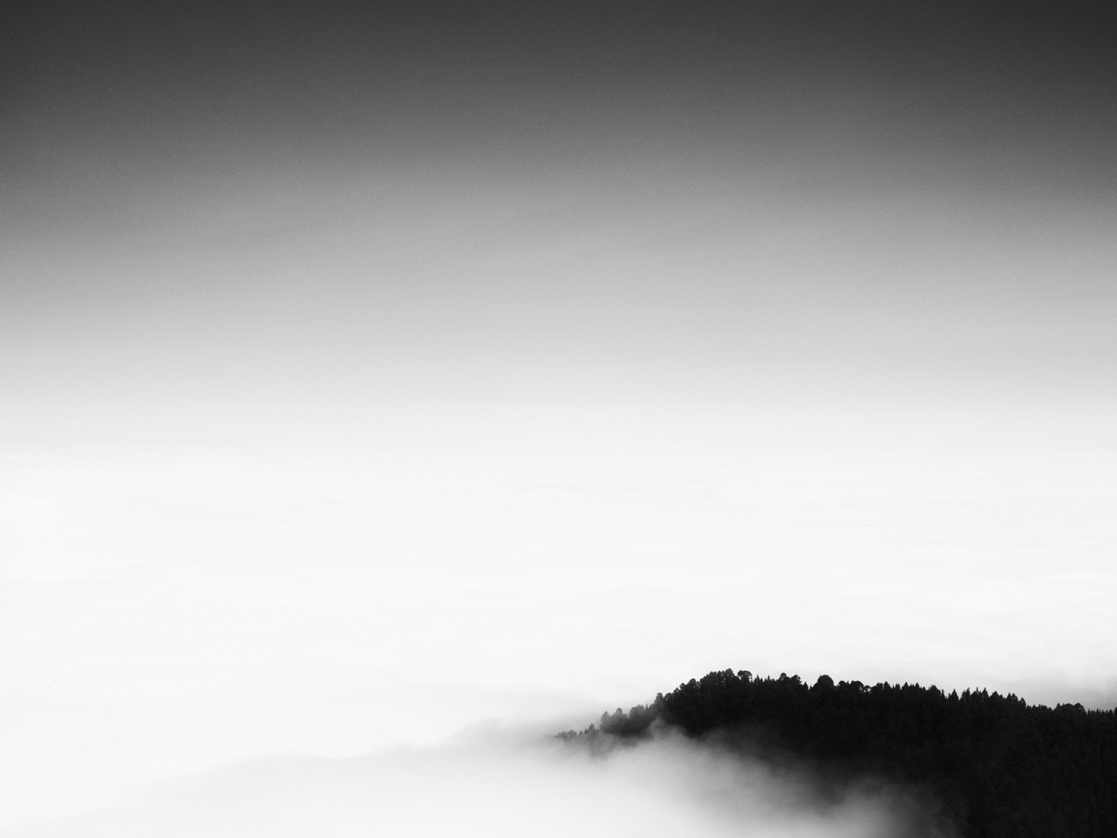 Rogier Houwen, 14 Rogier Houwen - Above Below