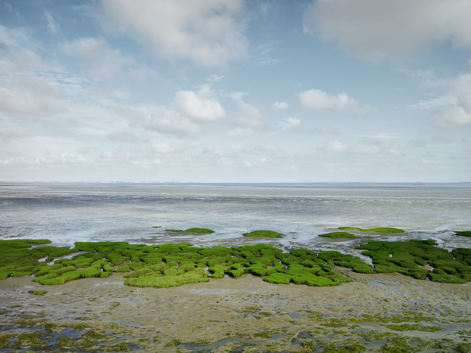 Jeroen Hofman, Rilland, Zuid Beveland, Zeeland