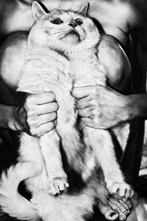 Jacob Aue Sobol, With and without You 058