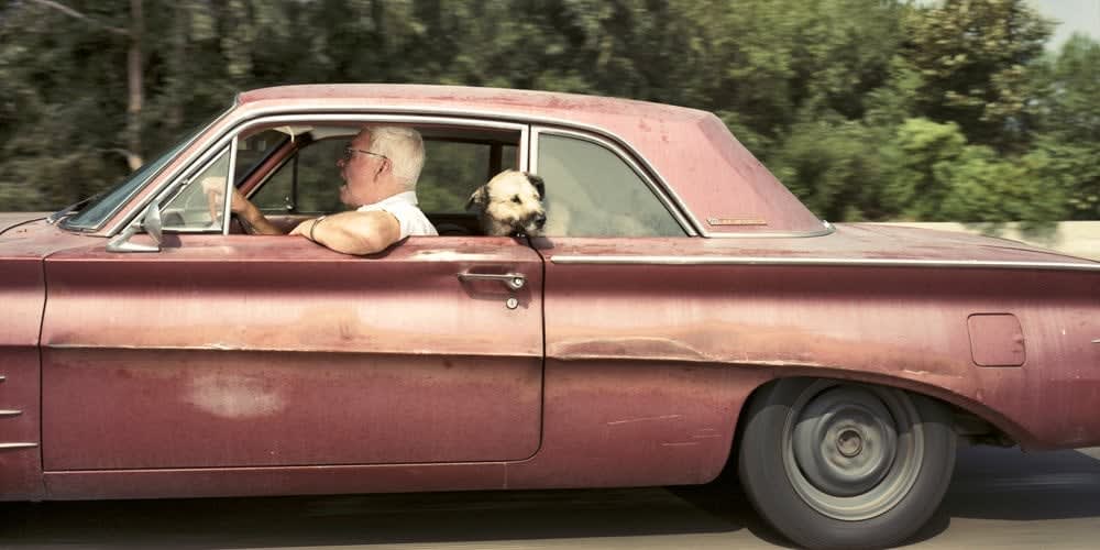 Andrew Bush, 3681_1000