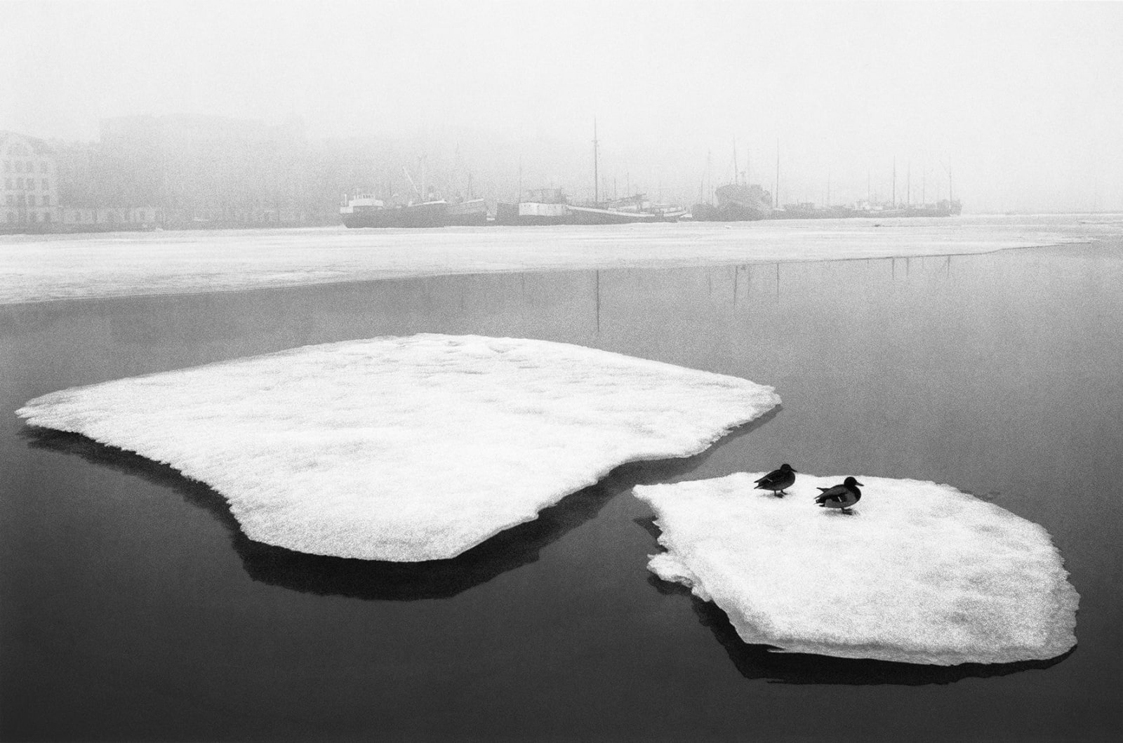 Pentti Sammallahti, 17