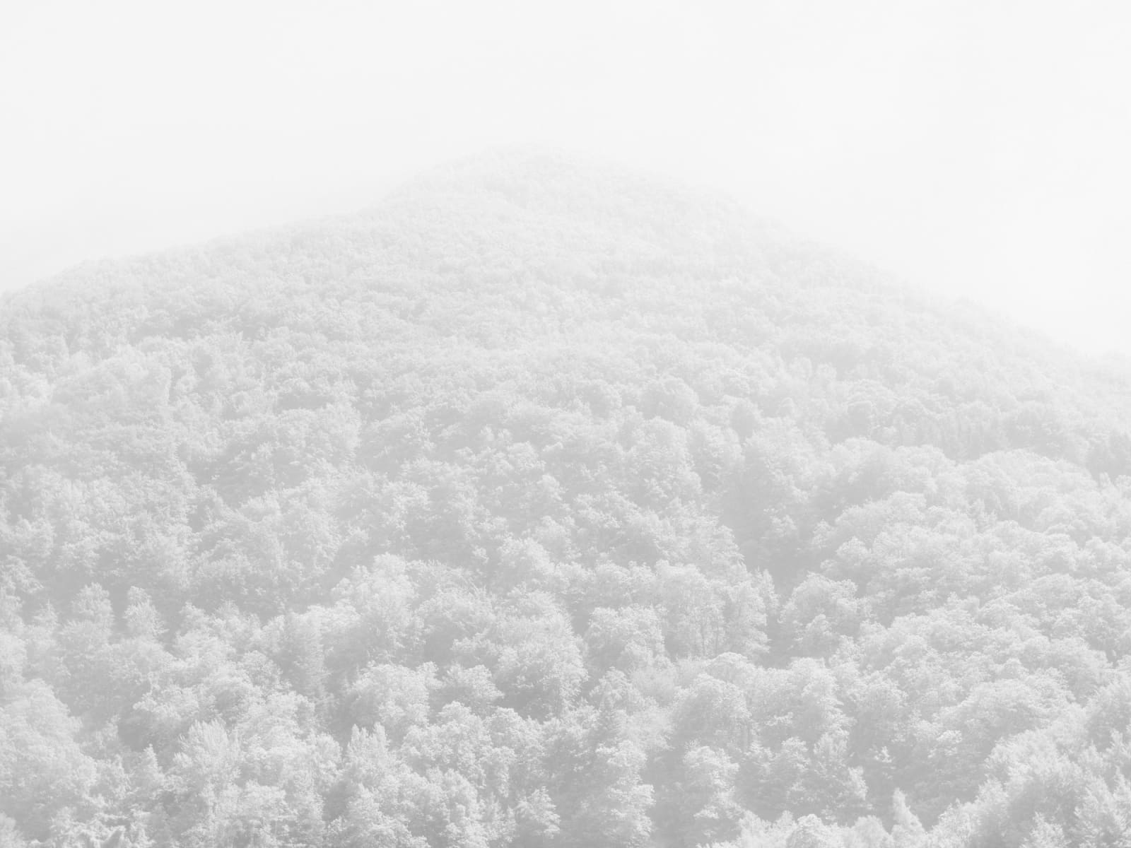 Rogier Houwen, 15 Rogier Houwen - Above Below