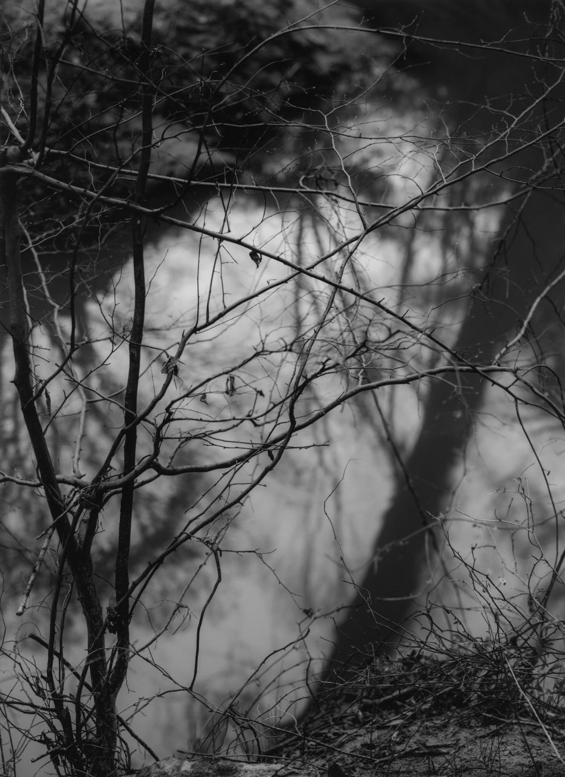 Bryan Schutmaat, Creek 2