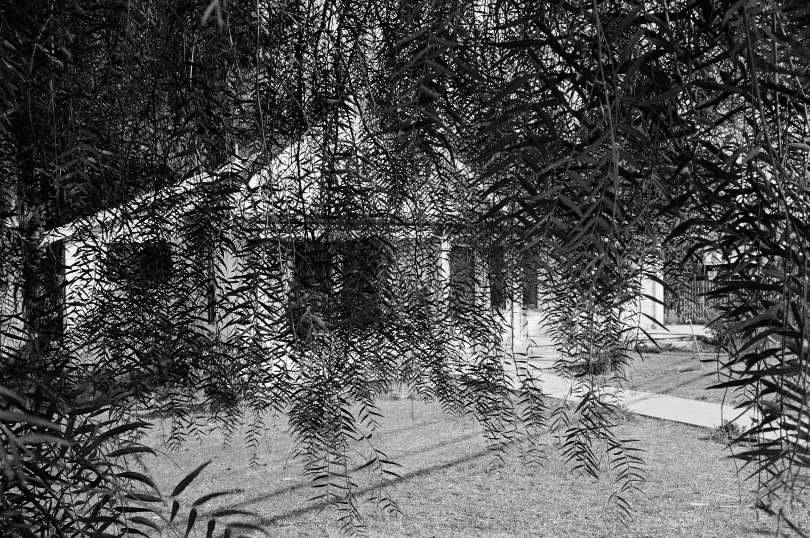 Mimi Plumb, The White Sky #65, Pleasant Hill, 1975