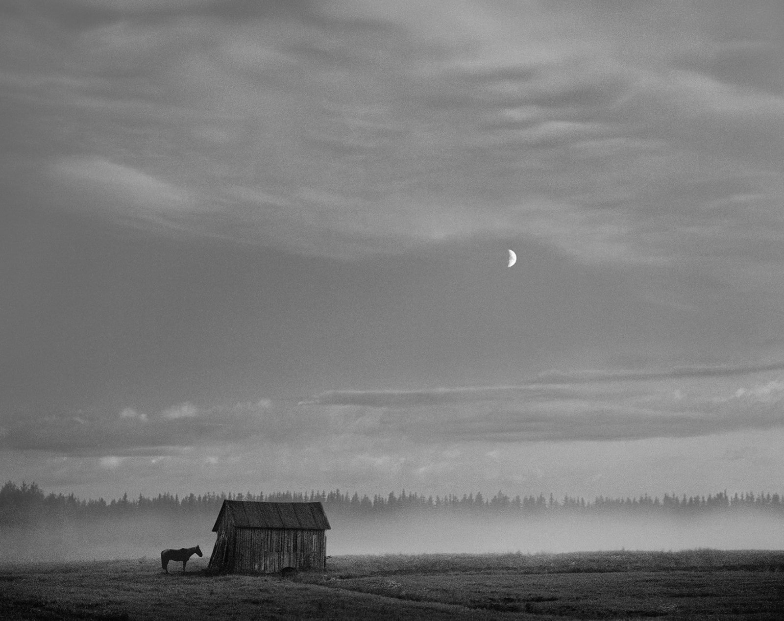 Pentti Sammallahti, 5