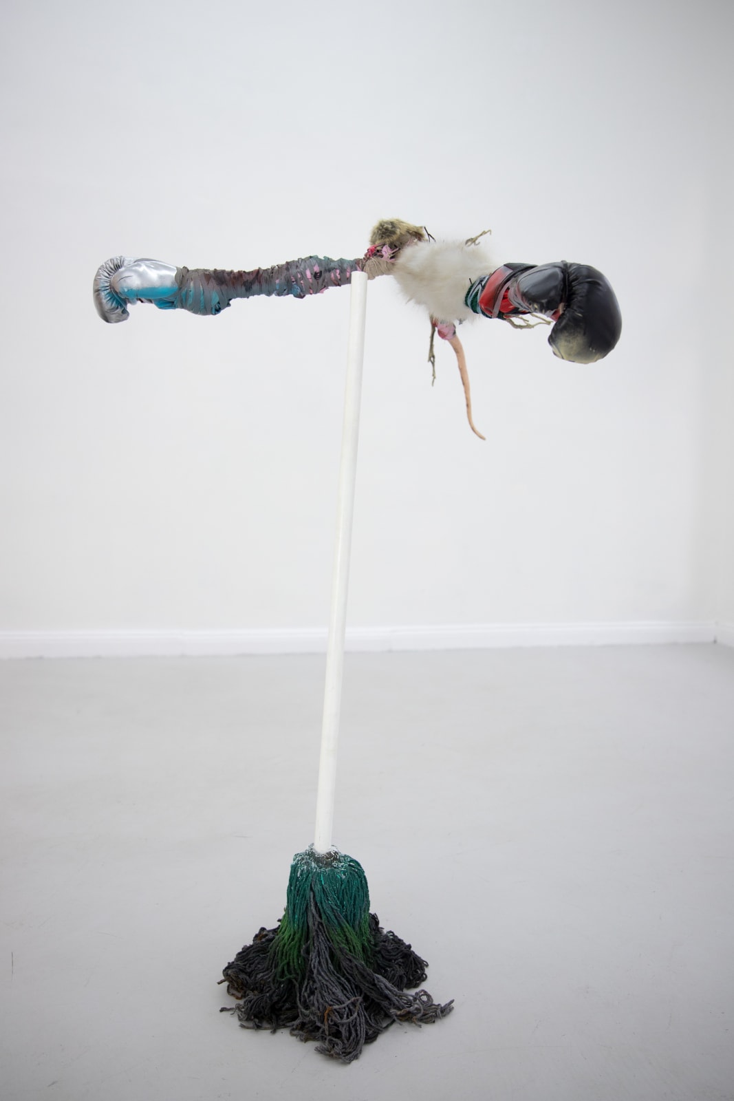 Tong Kunniao, Mop Boxer, 2019