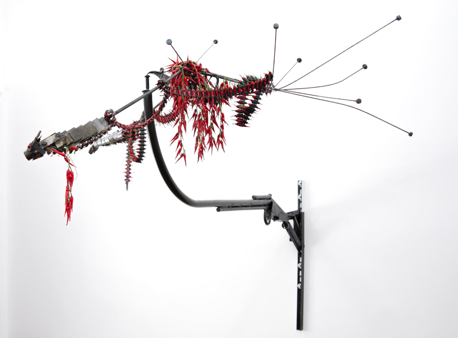 Tong Kunniao, Chili Bullet Bird, 2019