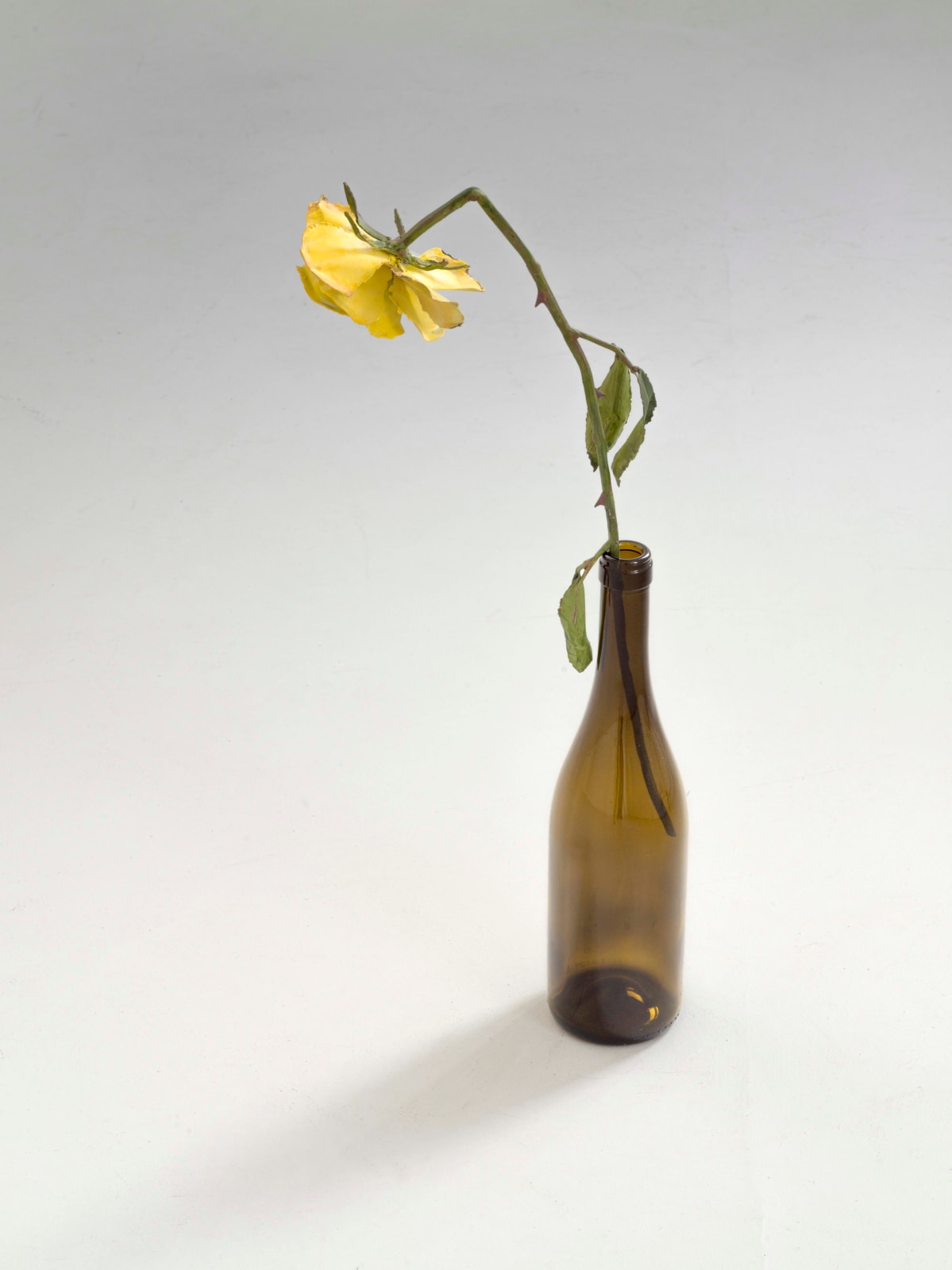 Alvaro Urbano, Lies (Yellow), 2020