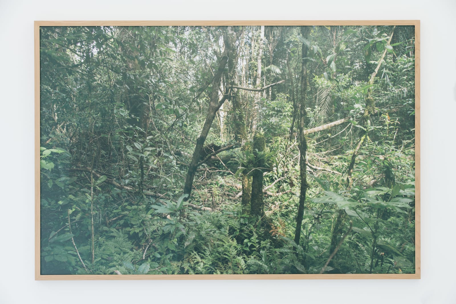 Mathieu Kleyebe Abonnenc, Vieux-Wacapou, Le Cimetière (2), 2017/2018