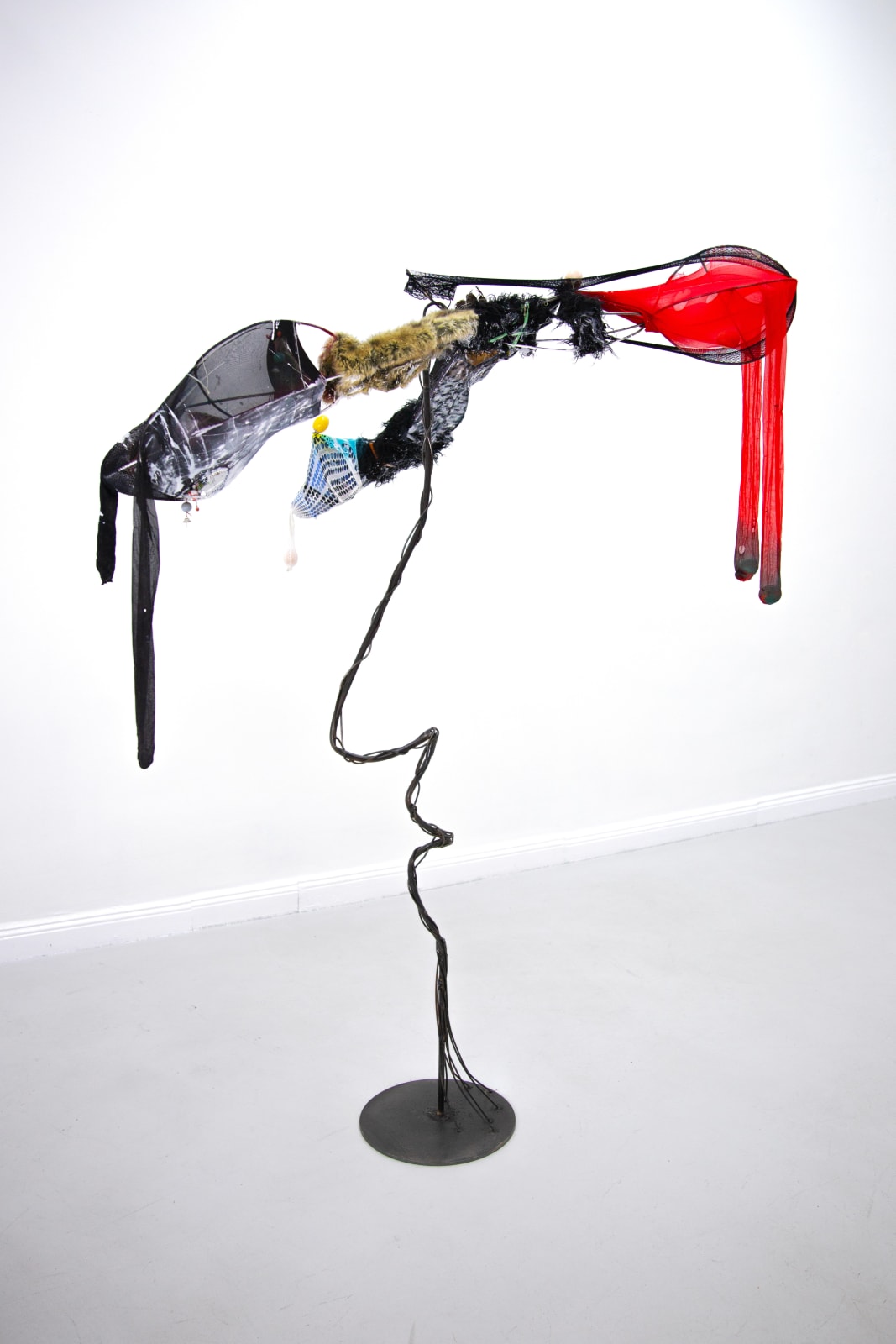 Tong Kunniao, Red Tail Double Eggs Bird, 2020