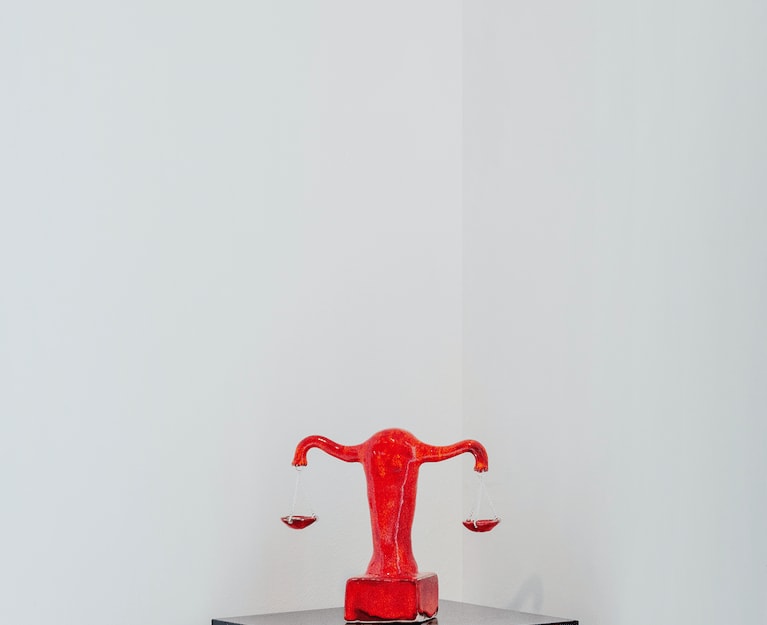 Zoë Claire Miller, Reproductive Justice (in Scarlet)