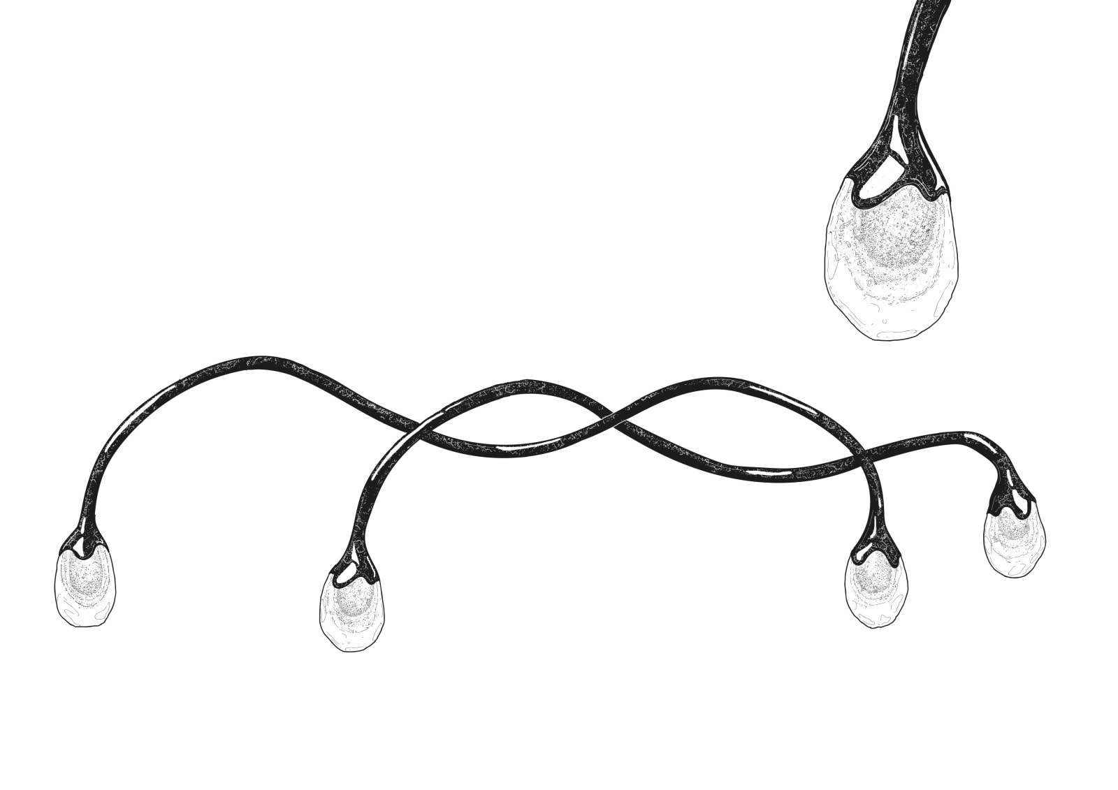 Irene Cattaneo, "Wild and voluptuous animals" ceiling fixture, 2025