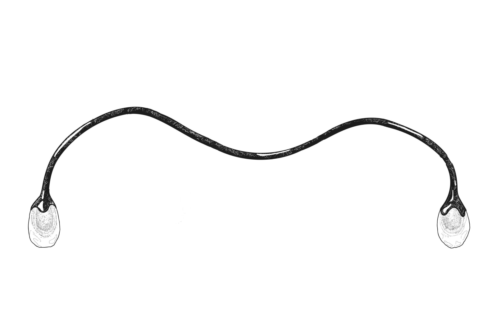 Irene Cattaneo, "Wild and voluptuous animals" ceiling fixture, 2025