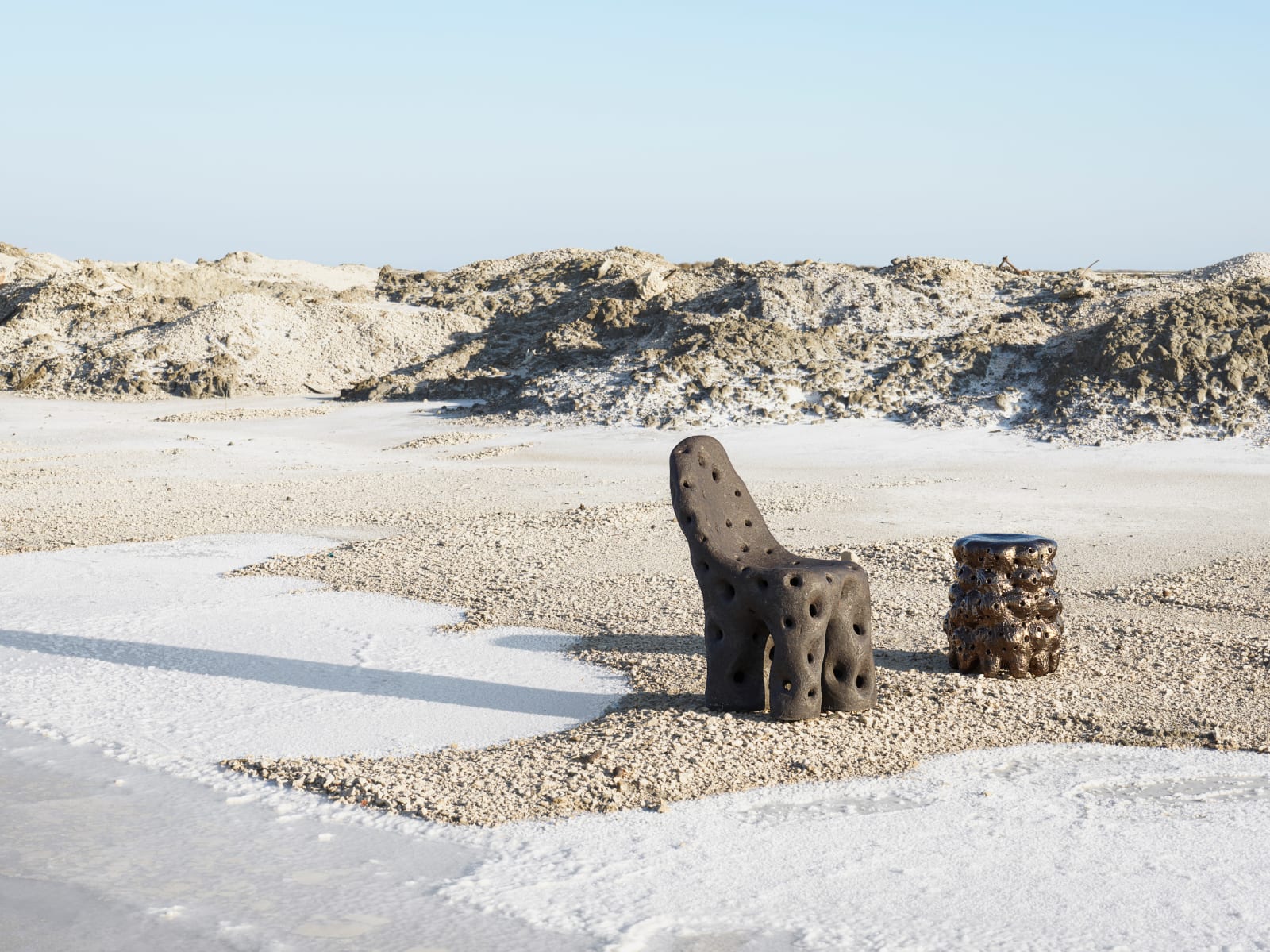 Agnès Debizet, "Morilles Noires", 2015
