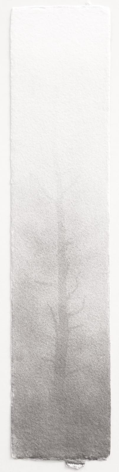 Hannah Schemel, Kigen #192, 2021