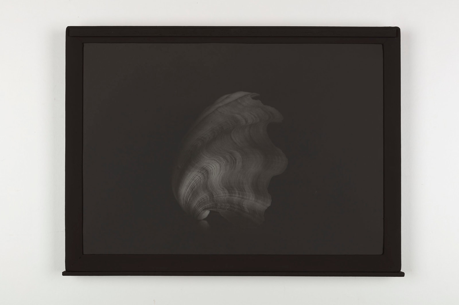 Sergio Scabar, Tiha tema 9 / Silent Darkness 9, 2017