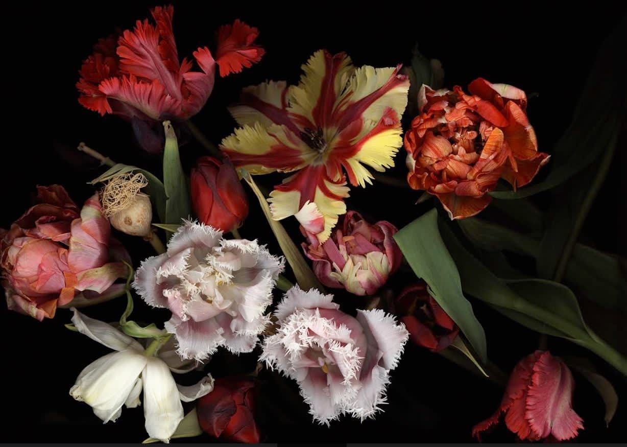 Luzia Simons, Stockage 131, 2011