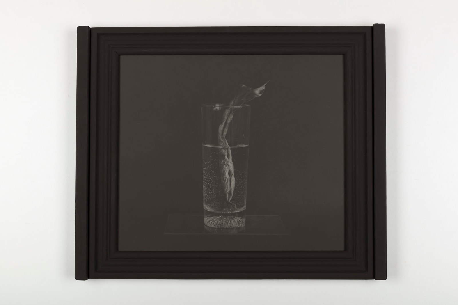 Sergio Scabar, Tiha tema 1 / Silent Darkness 1, 2017