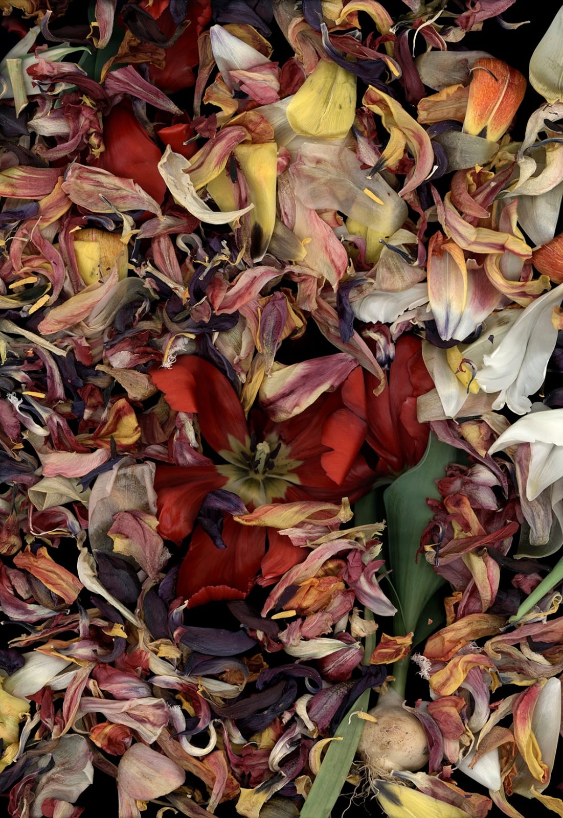 Luzia Simons, Stockage 124.5, 2011