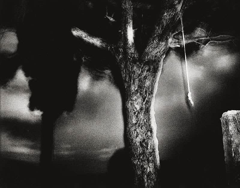 Andrej Lamut, Nokturno 19, 2014 - 2017