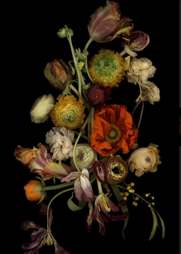 Luzia Simons, Stockage 188, 2020
