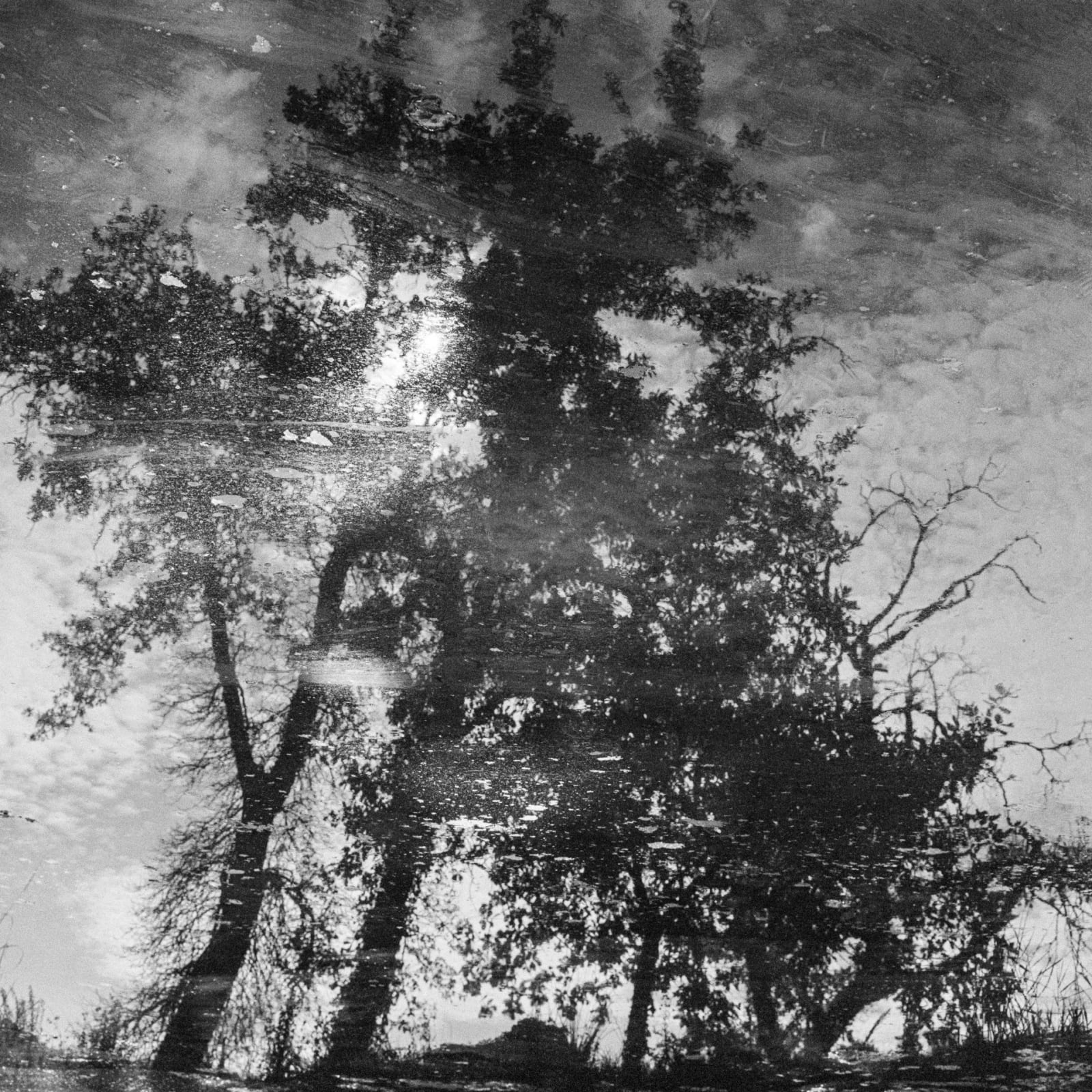 Andrej Lamut, Teritorij II / Territory II, 2022