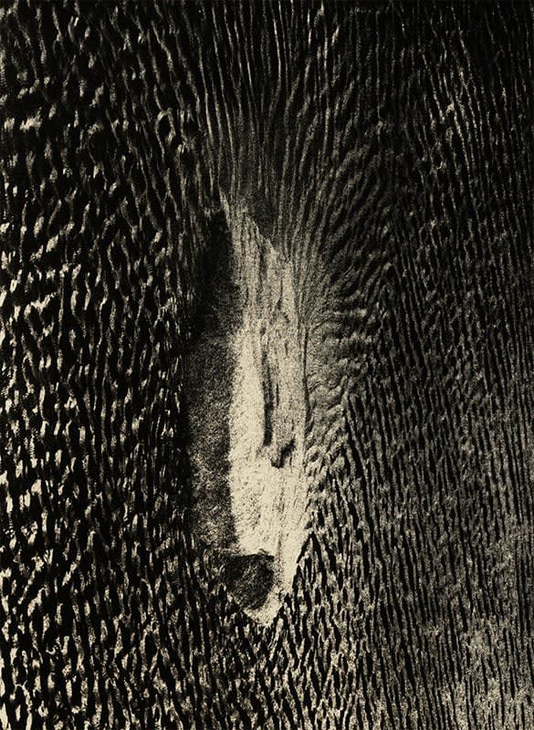 Andrej Lamut, Riba / Fish, 2018