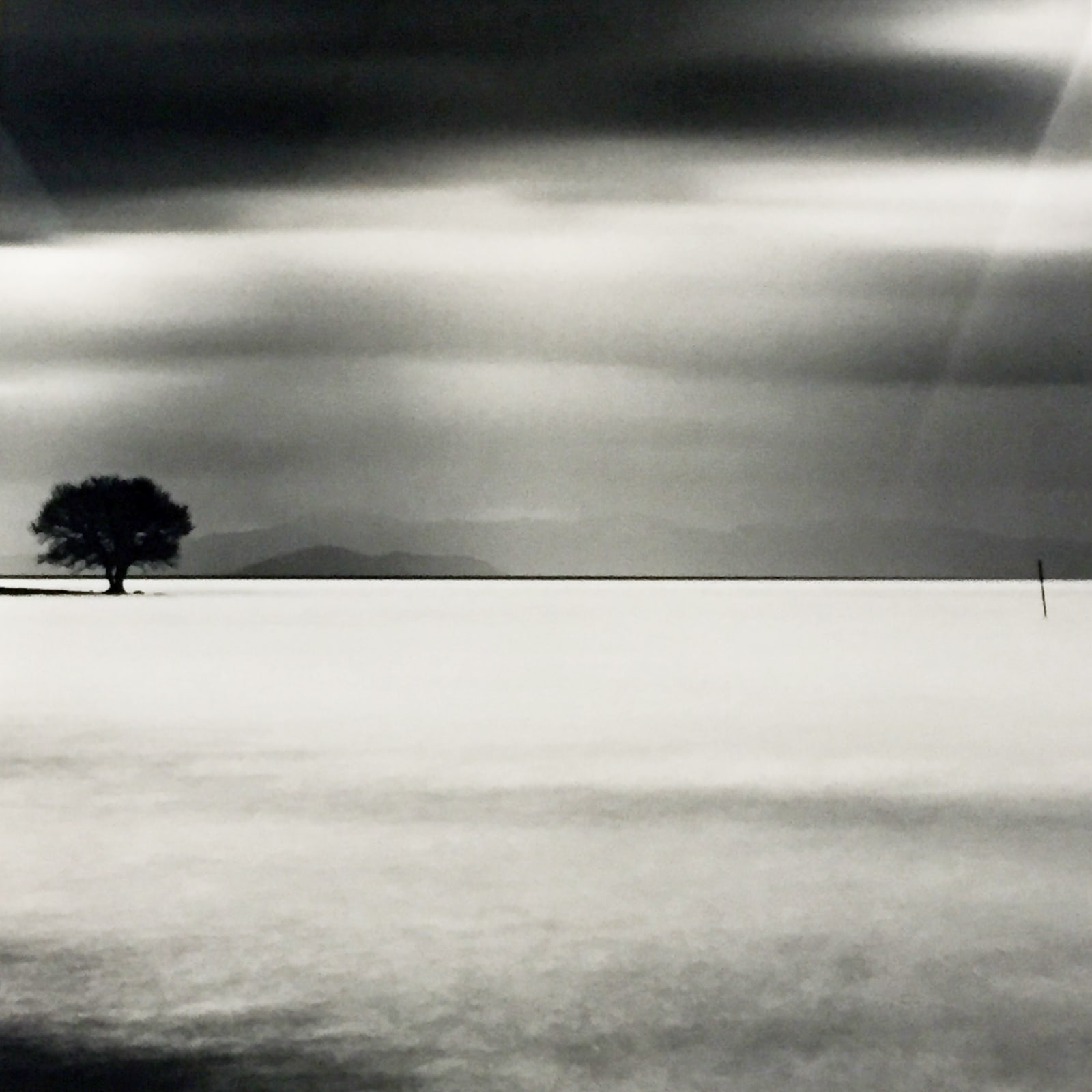 Michael Kenna, Biwa Lake Tree Study 5, 2007
