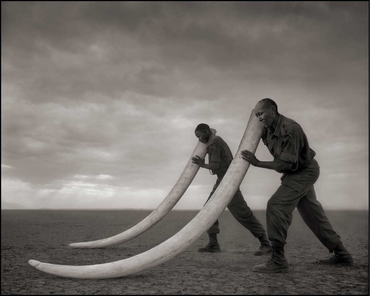 Nick Brandt, Two rangers with tusk of elephand killed with the hands of man, Amboseli, 2011