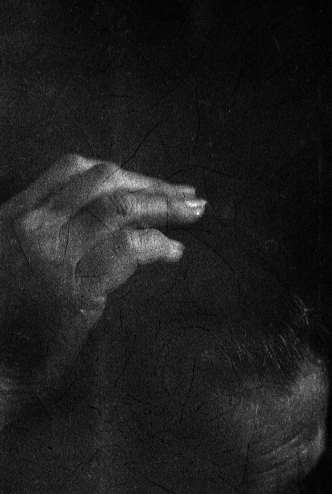 Tereza Kozinc, Mami / Mom, 2023