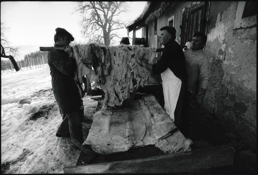 Stojan Kerbler, Špeh / Side of Bacon, 1978