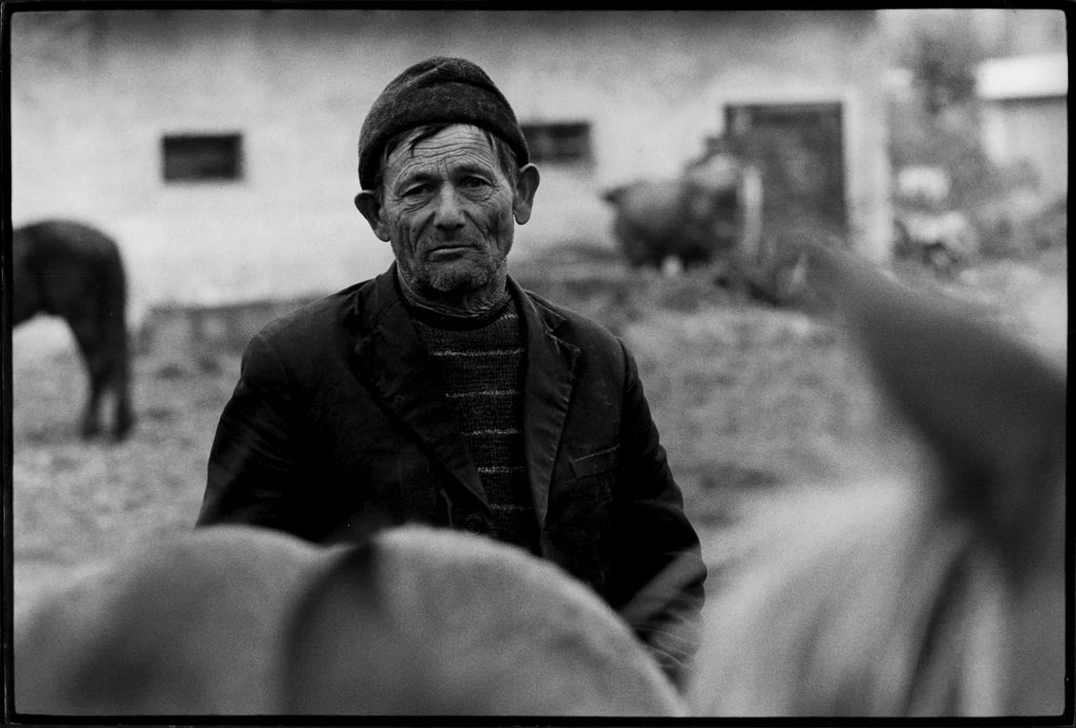 Stojan Kerbler, Shepherd , 1970