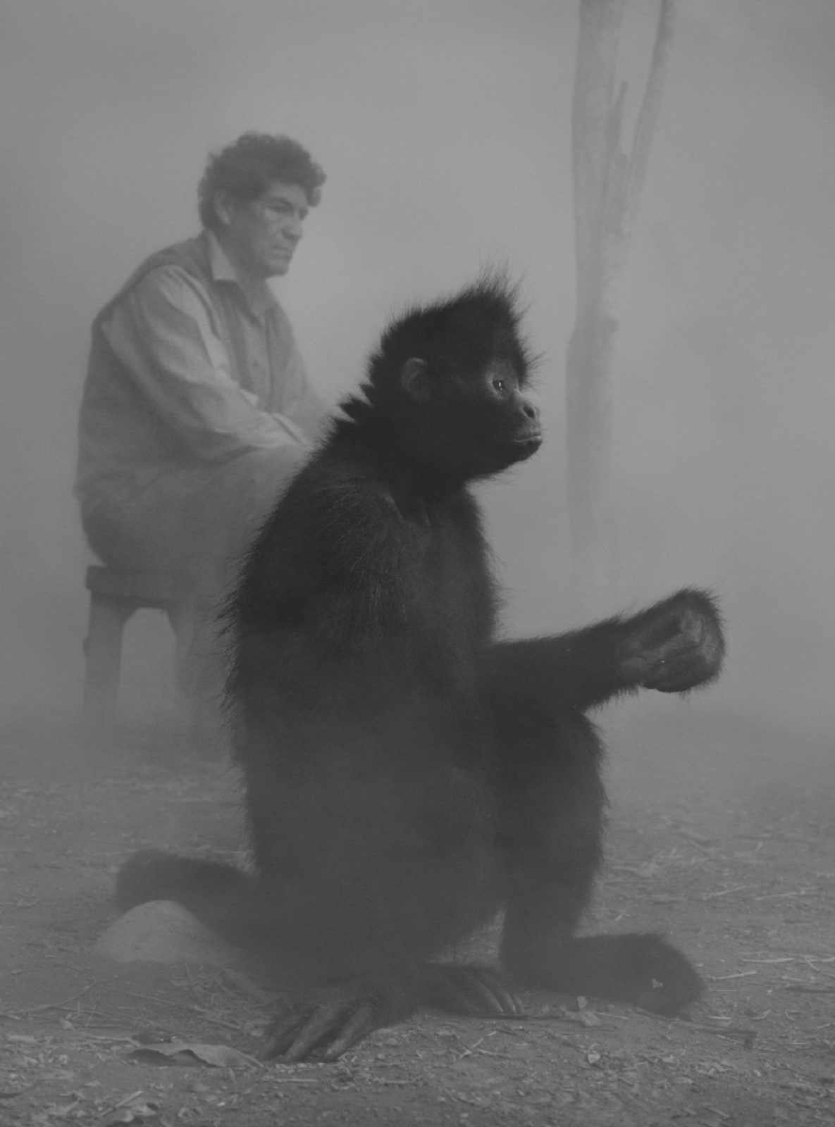 Nick Brandt, Lucio in Chascas, Bolivija / Lucio and Chascas, Bolivia, 2022