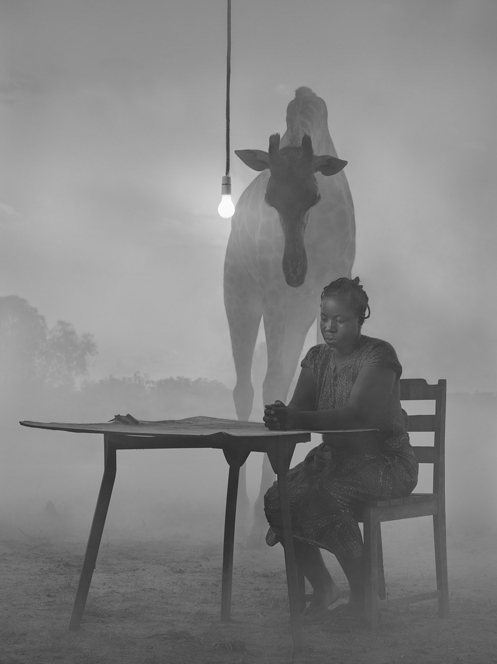 Nick Brandt, Kuda in Sky, Zimbabve / Kuda and Sky, Zimbabwe, 2020