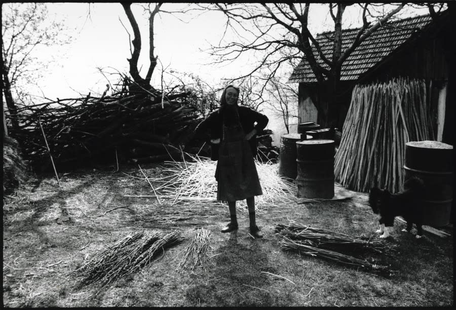 Stojan Kerbler, Haložanka / Haloze Woman, 1974