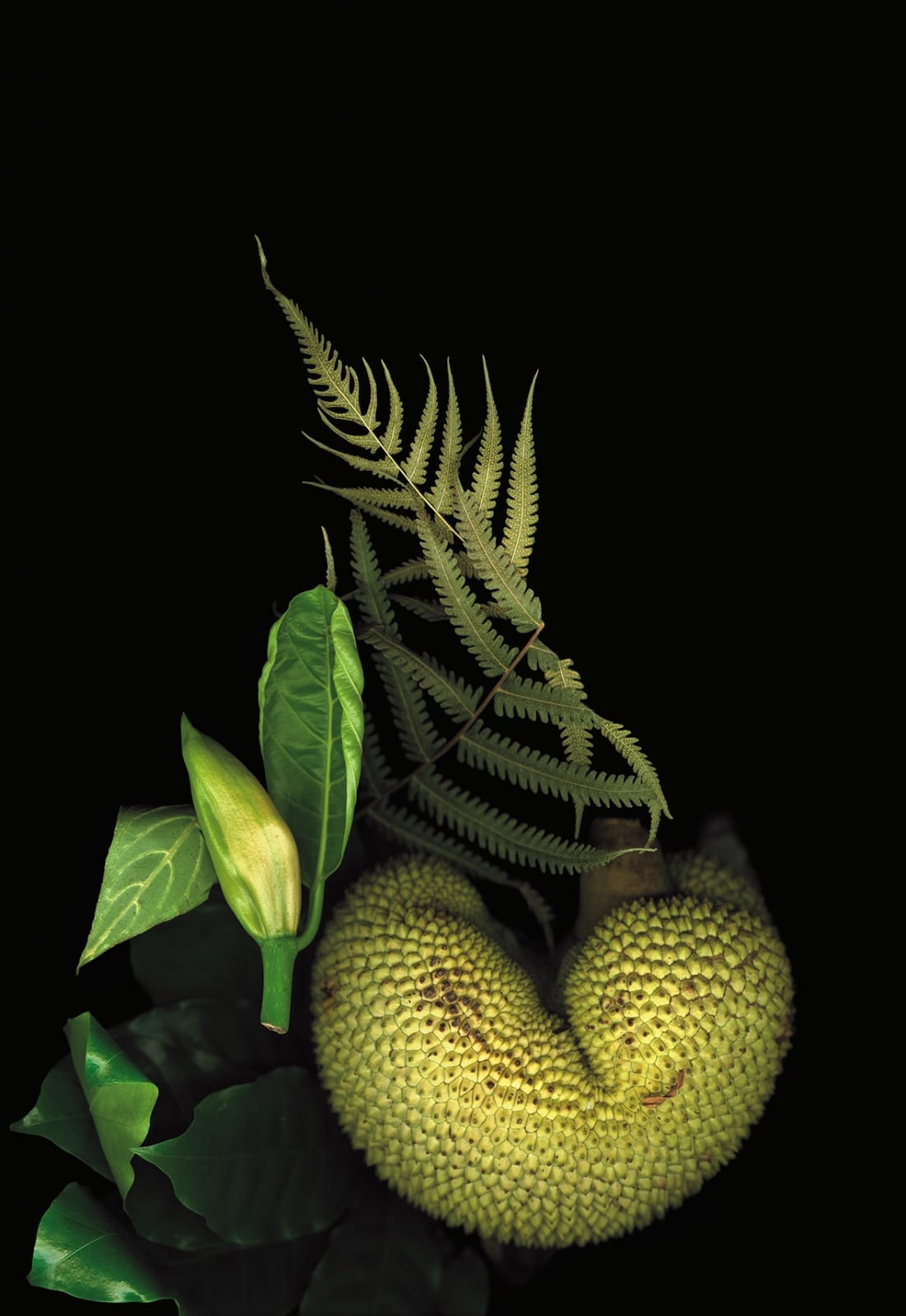 Luzia Simons, Casa de Vidro 05, 2024