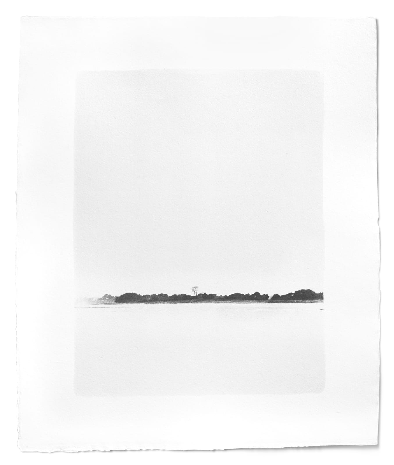 Hannah Schemel, Umi #168, 2020