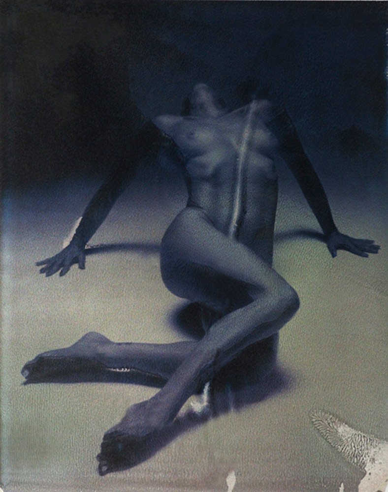 Euro Rotelli, Vibrazioni #43, 2005